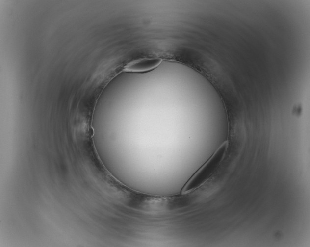 X0000114200084200910231353