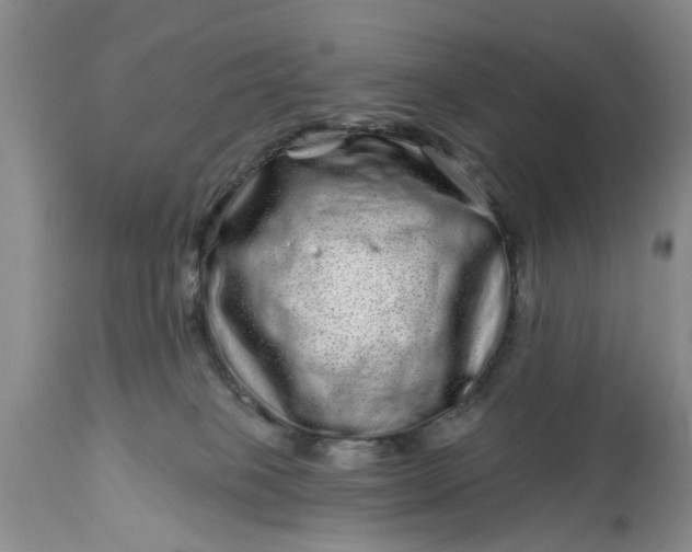 X0000114200085200910231353