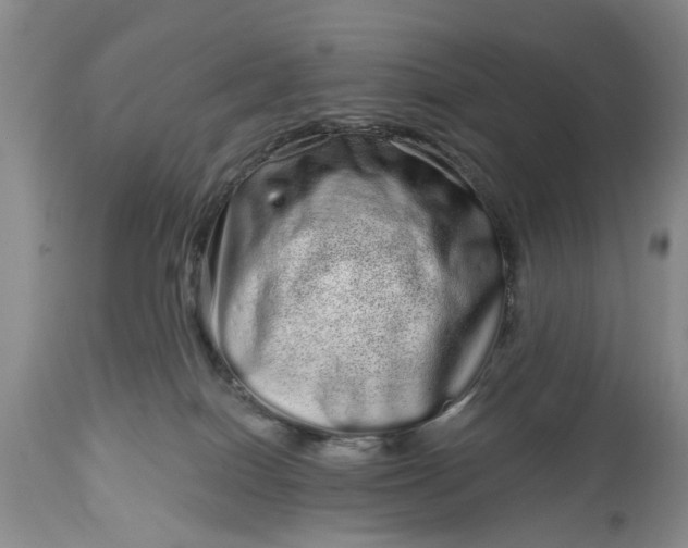 X0000114200086200910231353