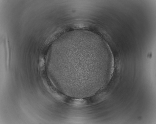 X0000114200087200910231353