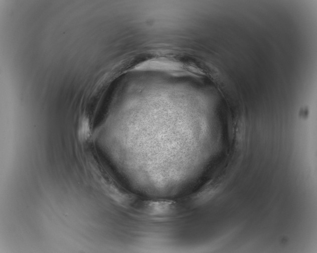 X0000114200089200910231353