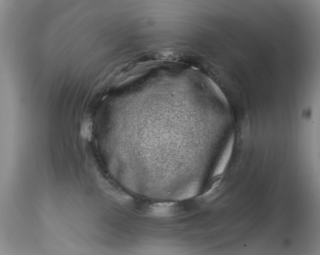 X0000114200090200910231353