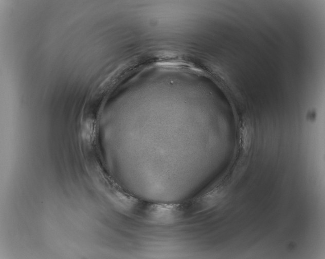 X0000114200093200910231353