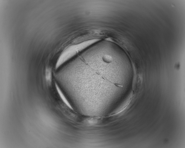 X0000114200094200910231353