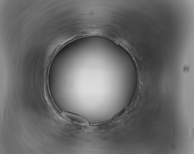 X0000114200097200910231353