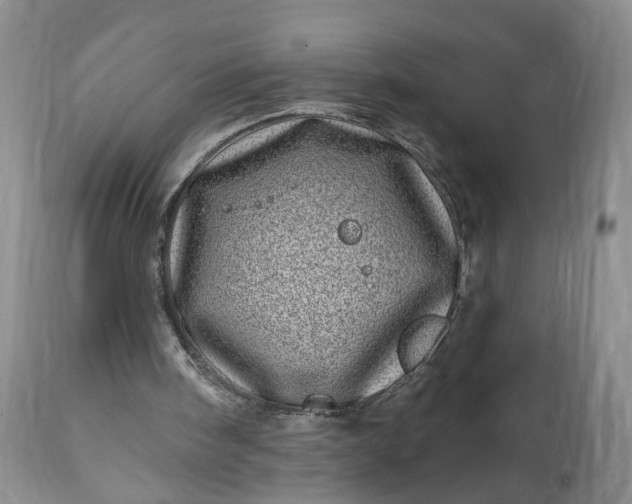 X0000114200098200910231353