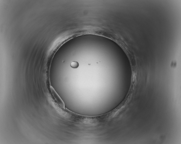 X0000114200101200910231353