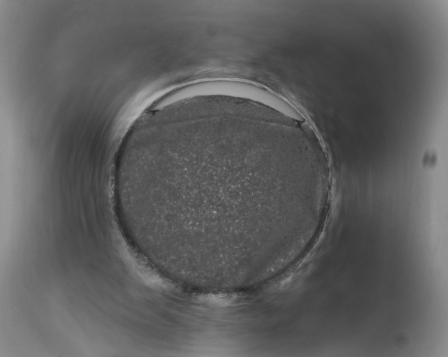 X0000114200103200910231352