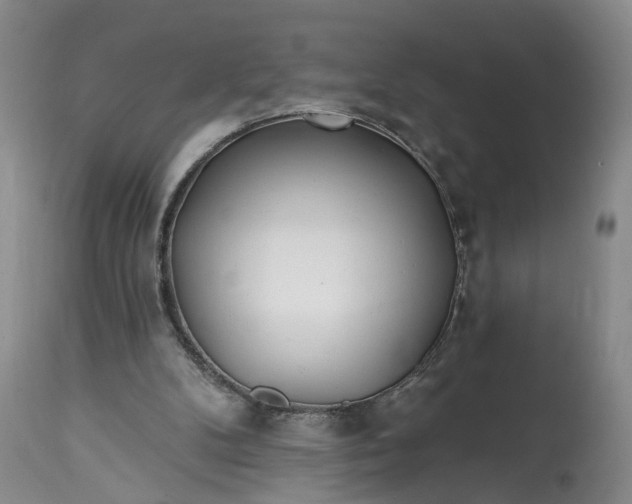 X0000114200104200910231352