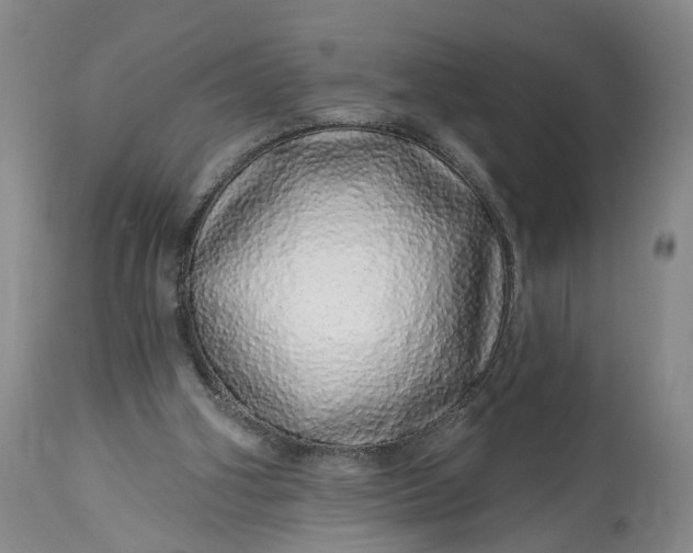 X0000114200106200910231352