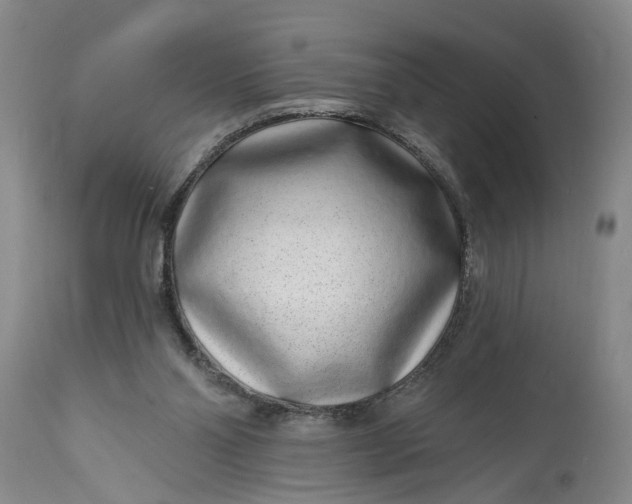 X0000114200110200910231352