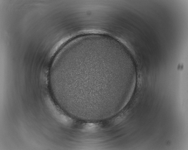 X0000114200111200910231352