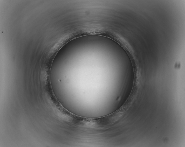 X0000114200113200910231352