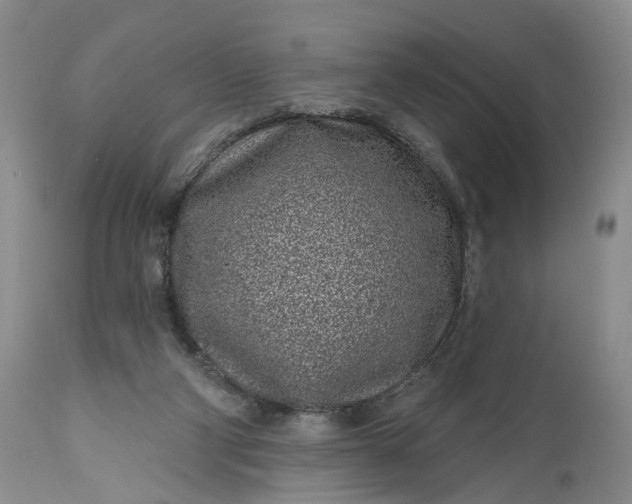 X0000114200114200910231352