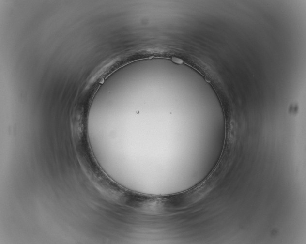 X0000114200116200910231352