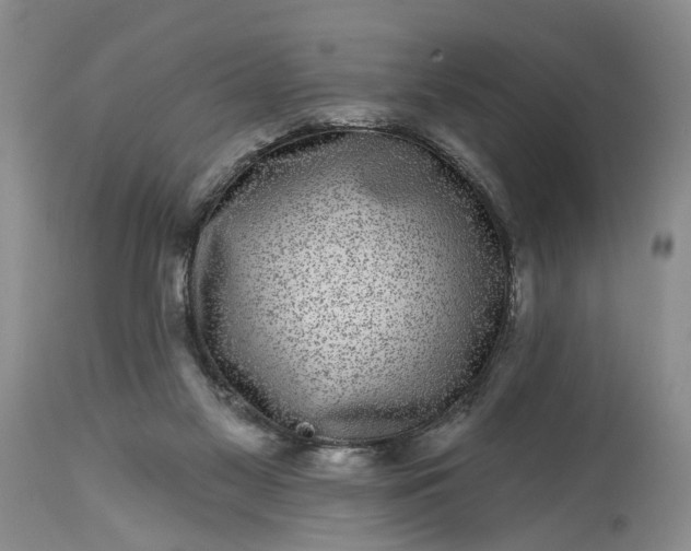 X0000114200117200910231352