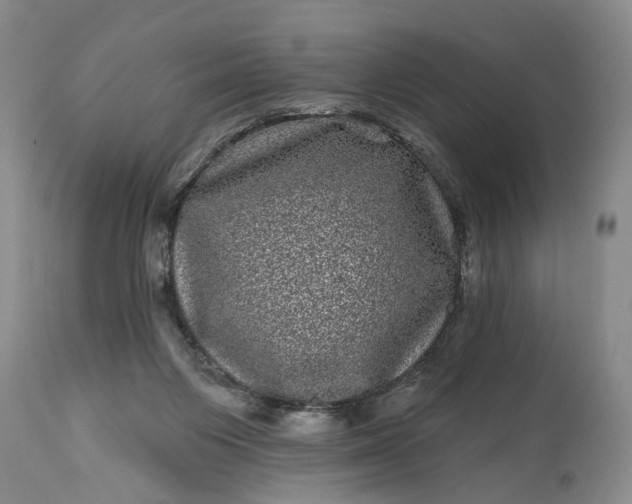 X0000114200119200910231352