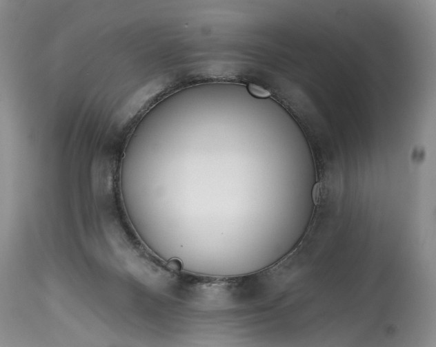 X0000114200120200910231352