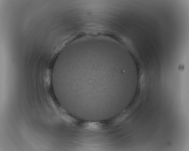 X0000114200121200910231352