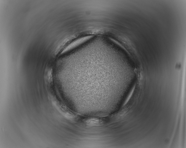 X0000114200123200910231352