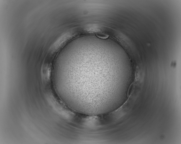 X0000114200124200910231352