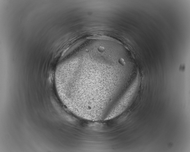 X0000114200125200910231352