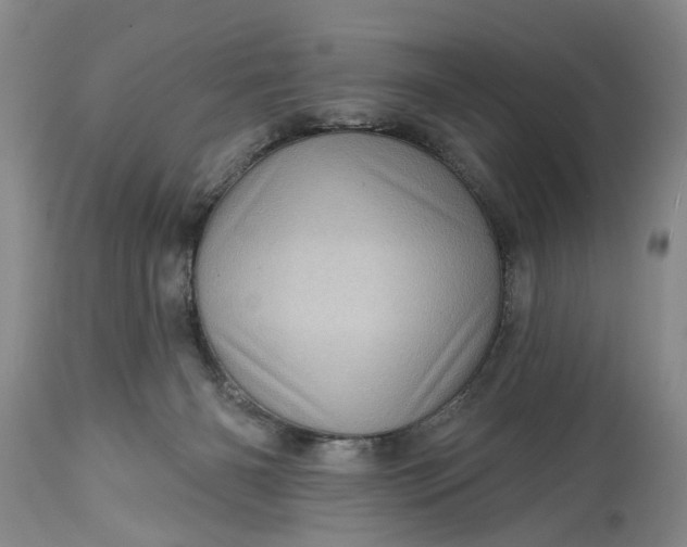 X0000114200126200910231352