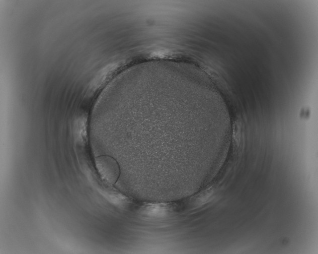 X0000114200127200910231352