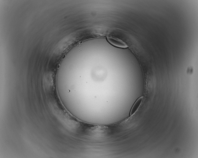 X0000114200128200910231352