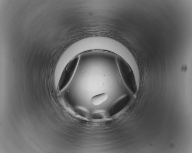 X0000114200129200910231352