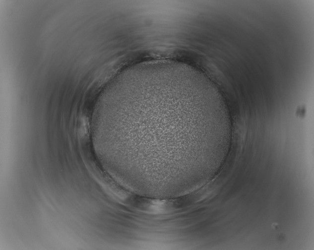 X0000114200130200910231352