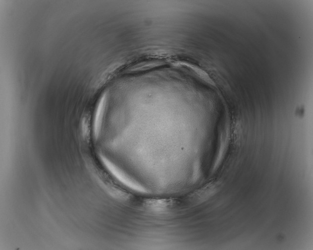 X0000114200131200910231352