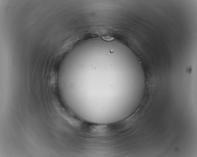 X0000114200132200910231352