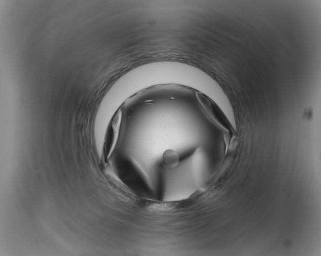 X0000114200133200910231352