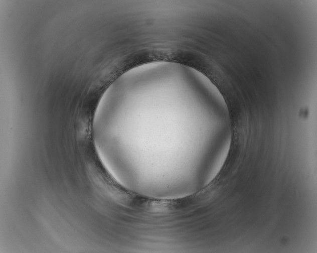 X0000114200134200910231352