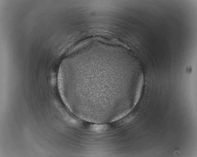 X0000114200135200910231352