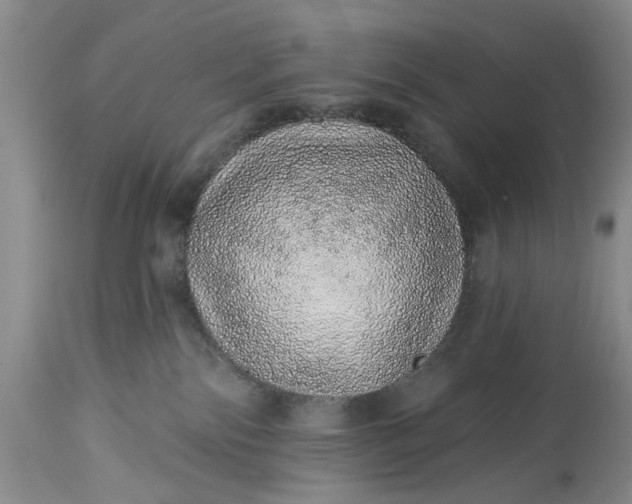 X0000114200138200910231352