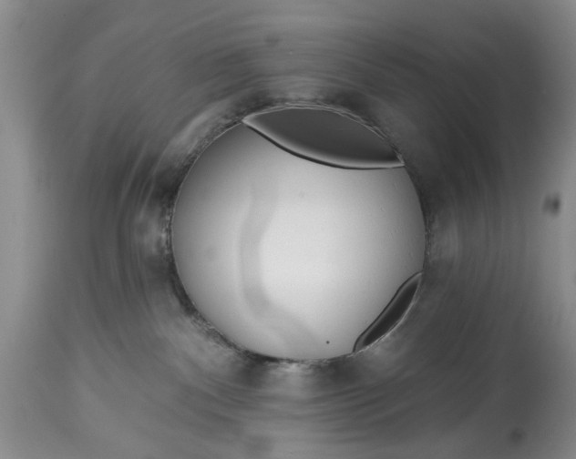 X0000114200140200910231352