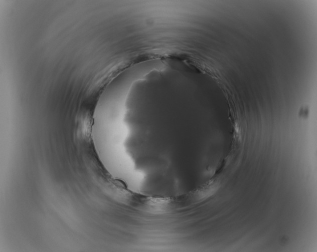 X0000114200143200910231352