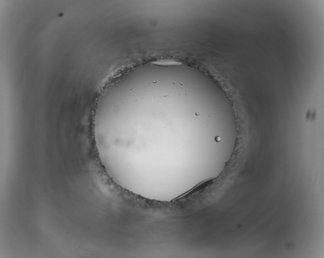 X0000114200144200910231352