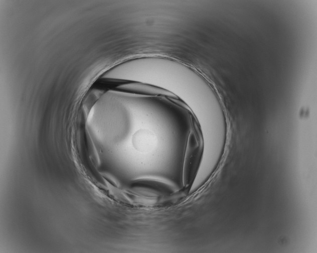 X0000114200145200910231351