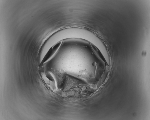 X0000114200146200910231351