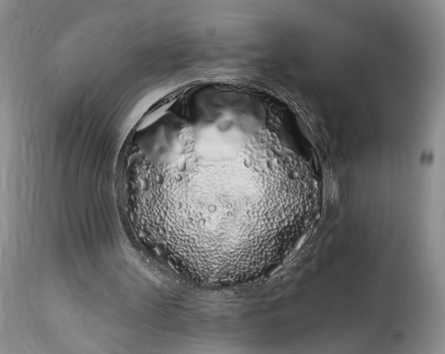 X0000114200147200910231351