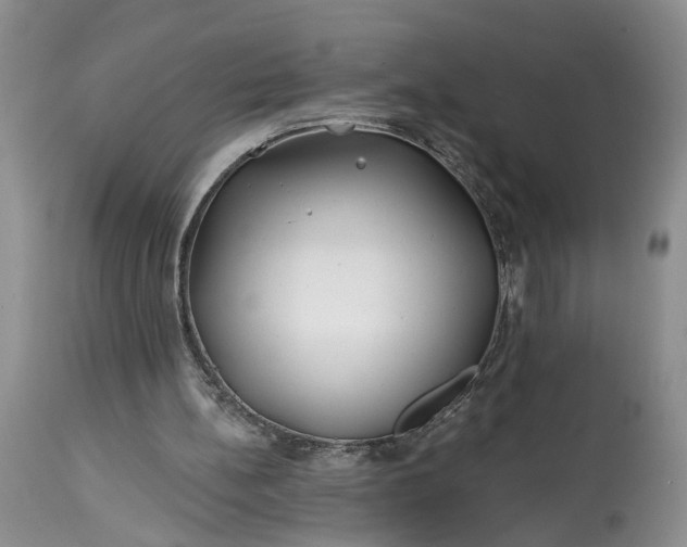 X0000114200148200910231351