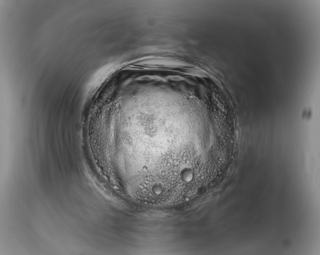 X0000114200149200910231351