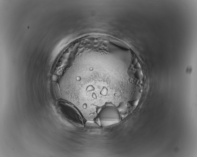 X0000114200151200910231351