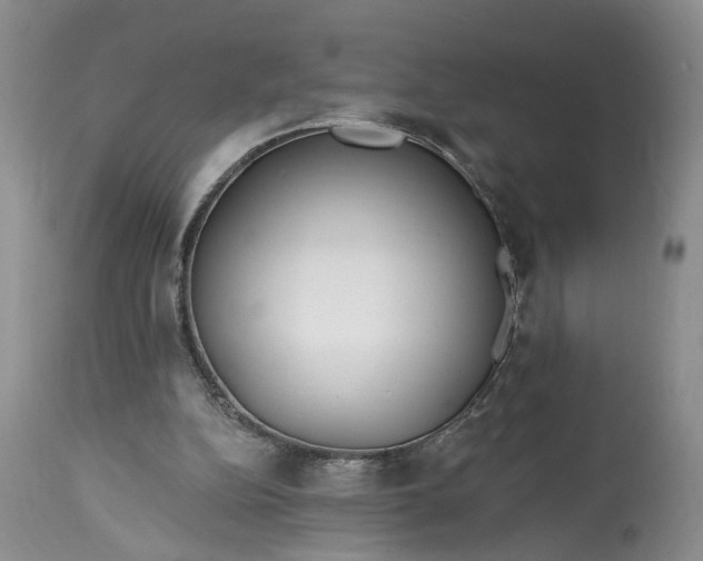 X0000114200152200910231351