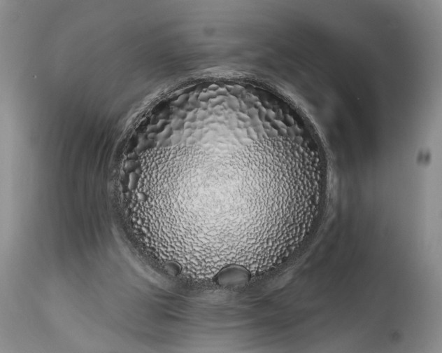 X0000114200153200910231351