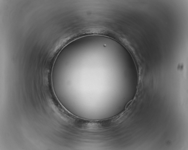 X0000114200154200910231351