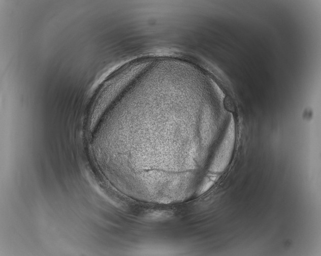 X0000114200155200910231351